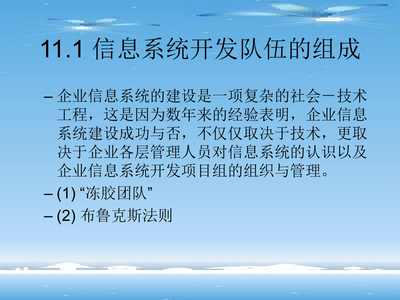 第十一章 企业信息化队伍.ppt