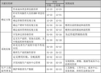 信息化项目总体计划